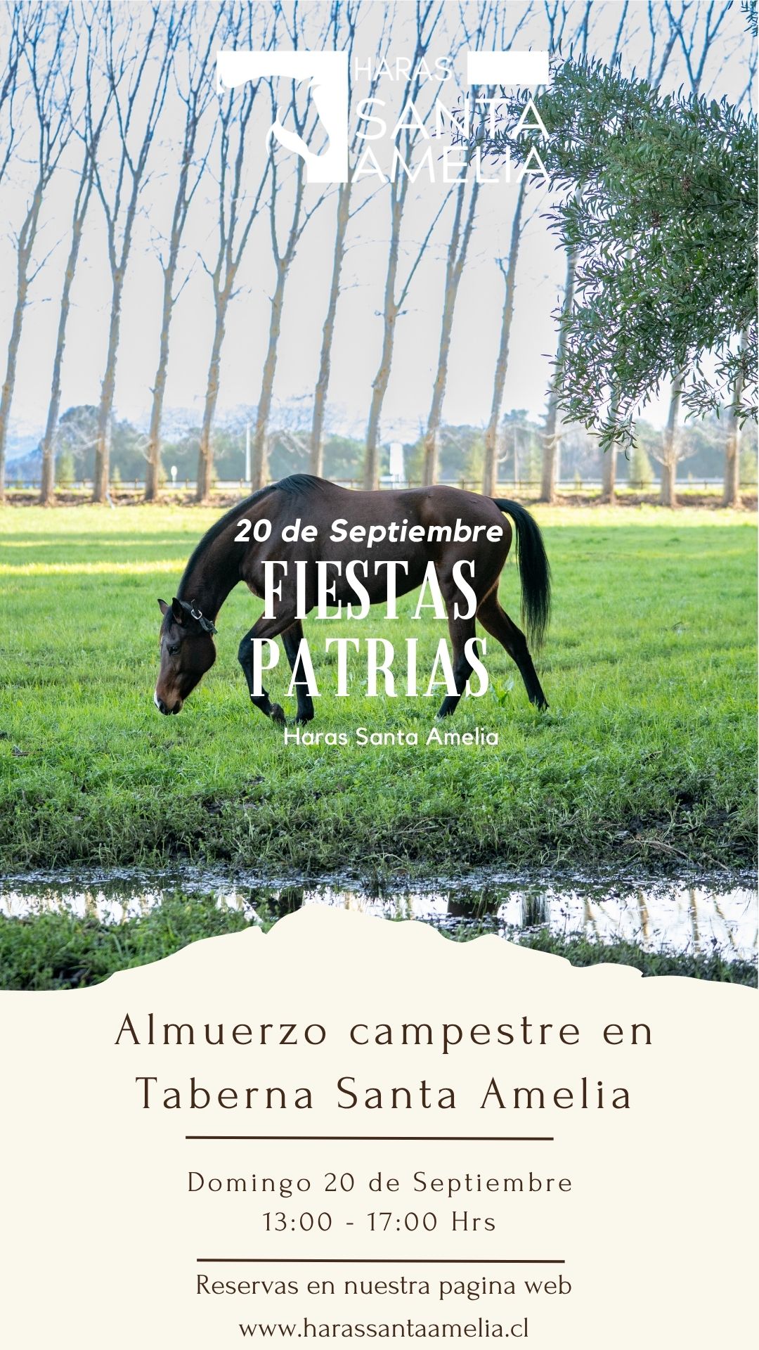 Fiestas Patrias en Haras Santa Amelia
