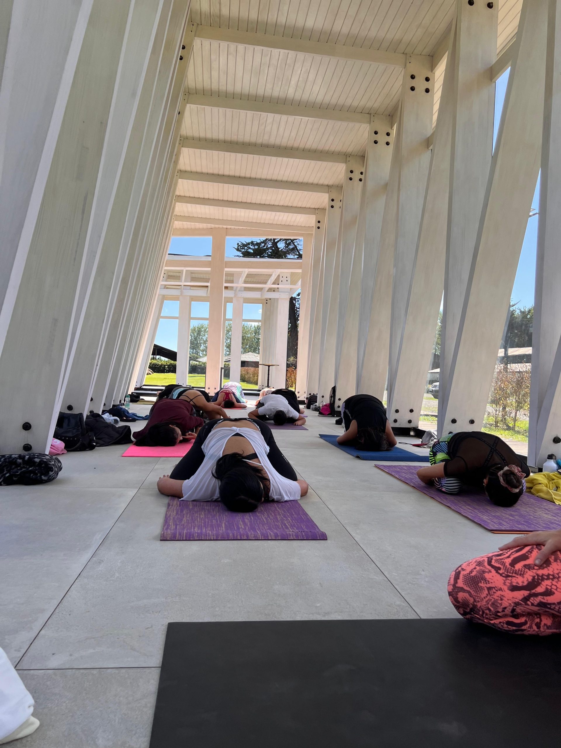 Clase de Yoga SA - Haras Santa Amelia