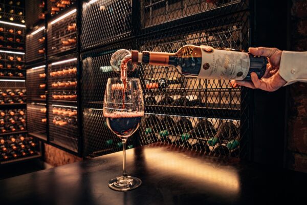 Cata de vinos